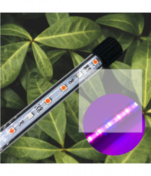 식물재배 바(bar) 등기구